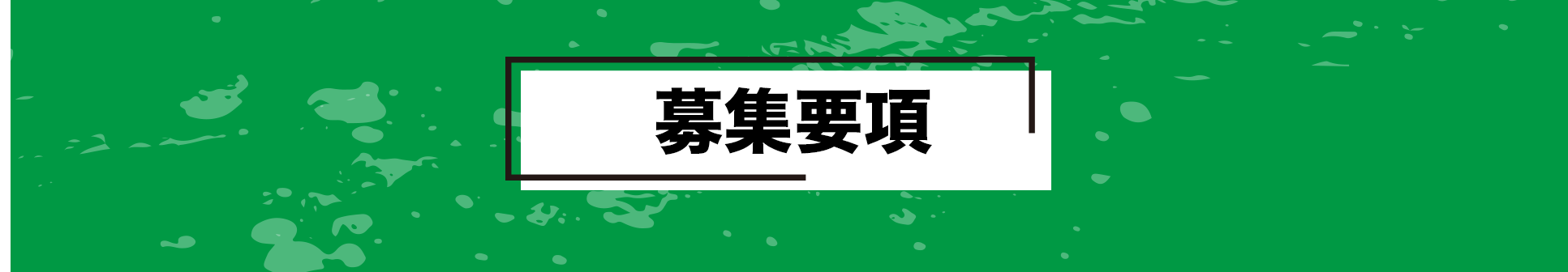 募集要項